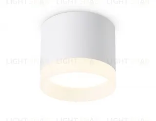 Накладной светильник Ambrella Light Acrylic Frost TN5365 TN5365
