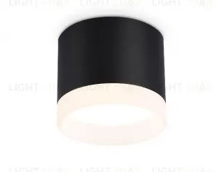 Накладной светильник Ambrella Light Acrylic Frost TN5366 TN5366