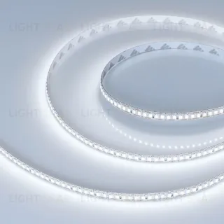 Светодиодная лента Arlight RT-A200-8mm 24V White6000-CX1 (16 W/m, IP20, 5m) 046938 046938