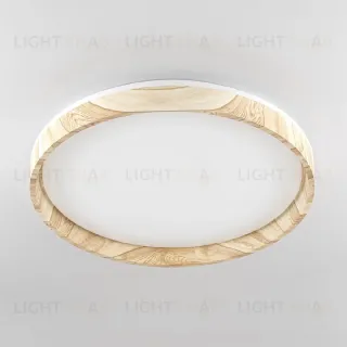 Потолочный светильник Citilux Enzo CL753452G CL753452G