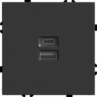 Розетка 2-местная USB + Type C Stekker RST10-5115-05 Эмили 49853 49853