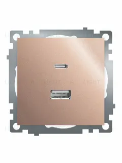 Розетка 2-местная USB + type C Stekker Катрин GLS10-7116-02 50056 50056