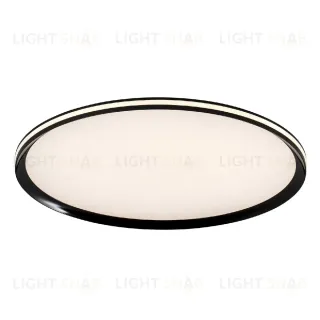 Потолочный светильник LED4U L3020-600 BK L3020-600 BK