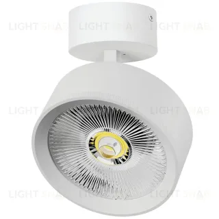 Накладной светильник Alta Pro Lightstar A5736SO A5736SO