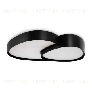 Потолочный светильник Freya Modesty FR6079CL-L72B FR6079CL-L72B