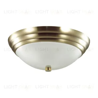 Настенно-потолочный светильник Lumion Vintage 5262/2C 5262/2C