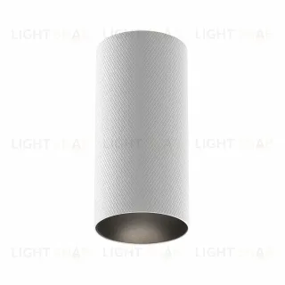 Накладной светильник Maytoni Artisan C080CL-01-GU10-W C080CL-01-GU10-W