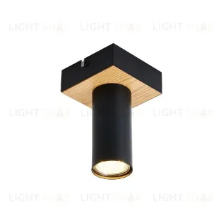 Накладной светильник F-Promo Olson 4431-1C 4431-1C