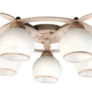 Потолочная люстра Omnilux OML-50517-05