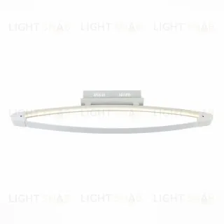 Потолочный светодиодный светильник ST Luce SL920.102.01