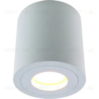 Потолочный светильник Divinare Galopin 1460/03 PL-1