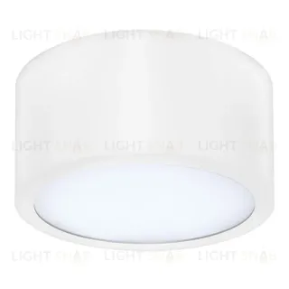 Потолочный светодиодный светильник Lightstar Zolla 213916