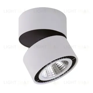 Потолочный светодиодный светильник Lightstar Forte Muro 213830