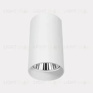 Потолочный светильник Crystal Lux CLT 015C WH
