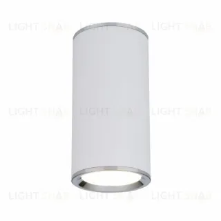 Потолочный светильник Elektrostandard DLN101 GU10 WH белый 4690389135859