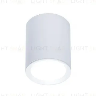 Потолочный светильник Ambrella Light Techno Spot TN215