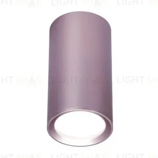 Потолочный светильник Ambrella Light Techno Spot TN220