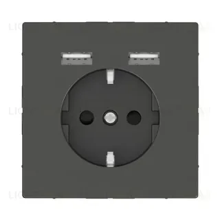 Розетка компьютерная USBx2 Schneider Electric Merten D-Life MTN2366-6034