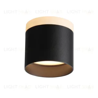 Накладной светильник ST Luce ST102.402.09