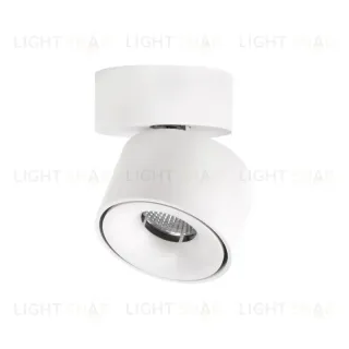 Спот Citilux CL558010N