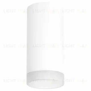 Потолочный светильник Lightstar RULLO R648680 (216486+202480)