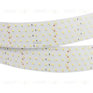 Светодиодная лента Arlight RT 2-2500 2835 019083(1)