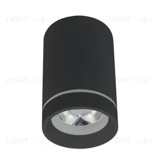 Потолочный светильник Aployt Edda APL.0053.19.10