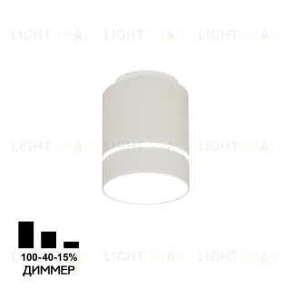 Накладной светильник Citilux Борн CL745020N
