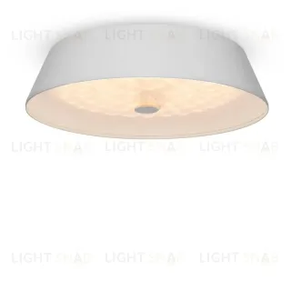 Потолочный светильник Freya Cells FR10013CL-L24W