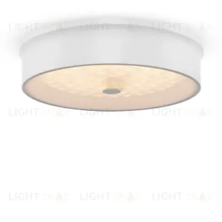 Потолочный светильник Freya Cells FR10011CL-L24W