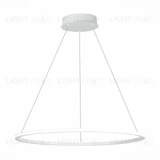 Подвесной светильник ST Luce ST604 Out ST604.543.34