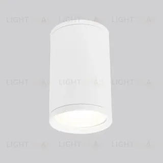 Уличный потолочный светильник Elektrostandard Light 4690389175893