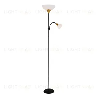 Торшер Arte Lamp Duetto A9569PN-2BK