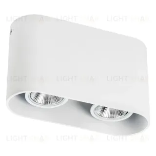 Накладной светильник Lightstar Rullo 214866