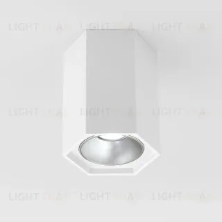 Накладной светодиодный светильник Elektrostandard 25036/LED 4690389176487
