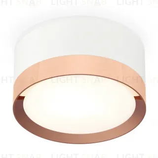 Потолочный светильник Ambrella Light Techno Spot XS8101006 (C8101, N8126)