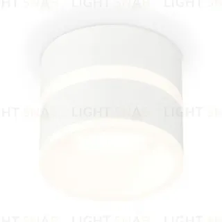 Потолочный светильник Ambrella Light Techno Spot XS8101019 (C8101, N8444)