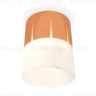 Потолочный светильник Ambrella Light Techno Spot XS8122011 (C8122, N8402)