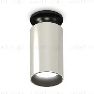 Потолочный светильник Ambrella Light Techno Spot XS6325101 (N6902, C6325, N6111)