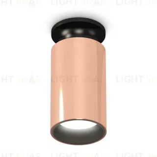 Потолочный светильник Ambrella Light Techno Spot XS6326101 (N6902, C6326, N6111)