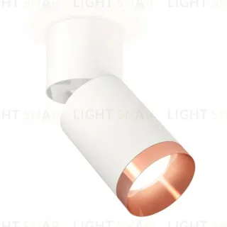 Спот Ambrella Light Techno Spot XM6312045 (A2220, C6312, N6135)
