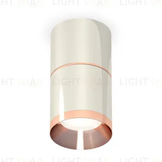 Потолочный светильник Ambrella Light Techno Spot XS7405081 (C7405, A2073, C7405, N7035)