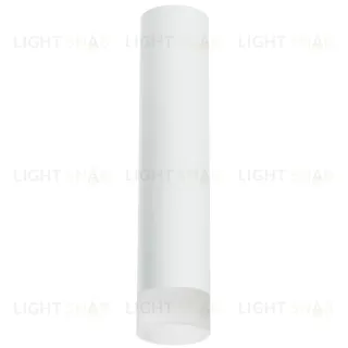 Накладной светильник Lightstar Rullo R49631 (214496+202431)