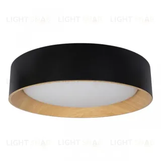Потолочный светильник Loft IT Coin 10202 Black