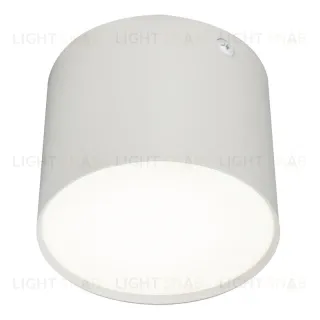 Потолочный светильник 20004 20004SMU/01LED SWH