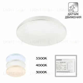 Потолочный светильник Citilux Симпла CL71424SV