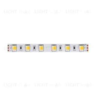 Светодиодная лента Maytoni Technical Led strip 24В 5050+5050 14,4Вт/м 5м IP20 20043