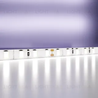Светодиодная лента Maytoni Led Strip 24В 2835 9,6Вт/м 6000K 5м IP20 20021