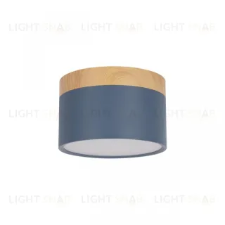 Накладной светильник Loft IT Grape 10162 Blue