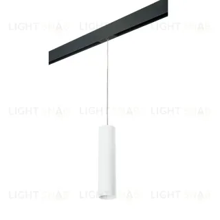 Трековый светильник Lightstar Rullo PRORP496 (214496+595857)
